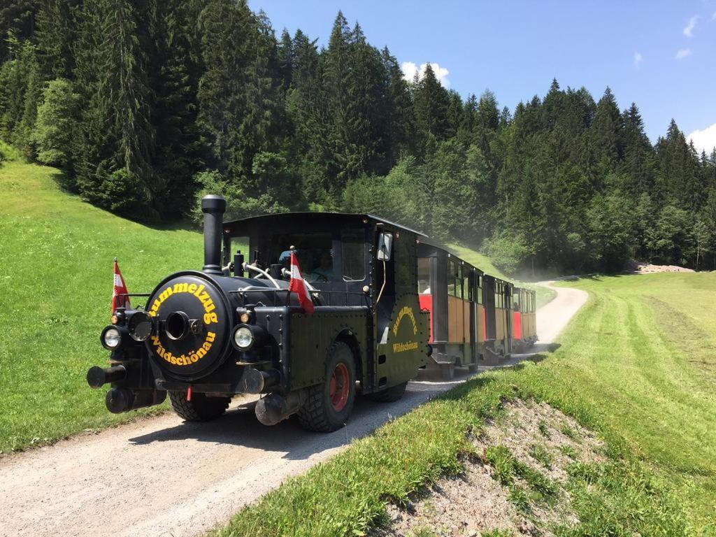 Sonnenalp Niederau公寓 外观 照片